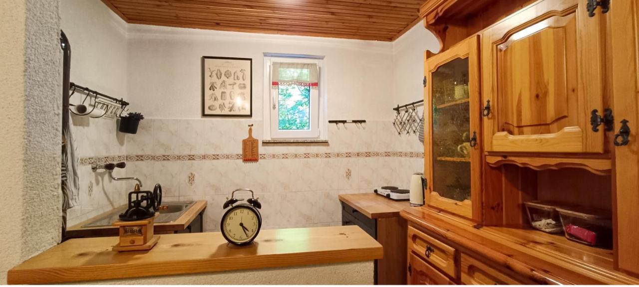Koca Kresnica Villa Ilirska Bistrica Exterior photo